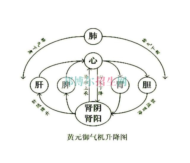 初中畢業(yè)可以學(xué)中醫(yī)學(xué)嗎