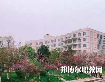 湖北宜昌水利電力學校2023年招生錄取分數(shù)線(2024參考)