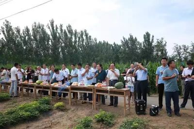 高效生态种养技术观摩培训会在曹县举办【2019年山东农业科技服务(扶贫)月专题】